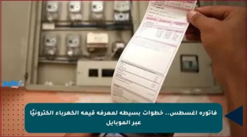 فاتورة أغسطس.. خطوات بسيطة لمعرفة قيمة الكهرباء إلكترونيًا عبر الموبايل